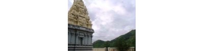 பவழகிரீஸ்வரர் 